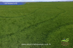 Criado em galpão-Os Serranos [VDownloader].00_03_40_22.Quadro048_ce5423408cc5cdcd05f55de37981150f0caf8918.jpg